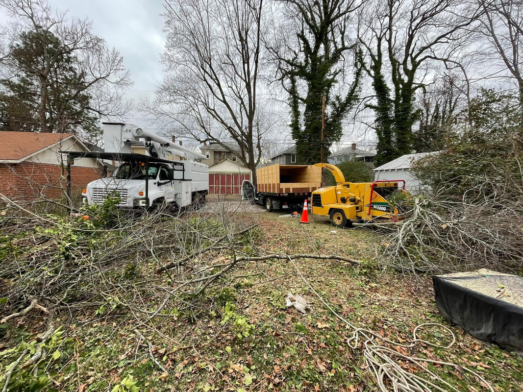 storm cleanup services