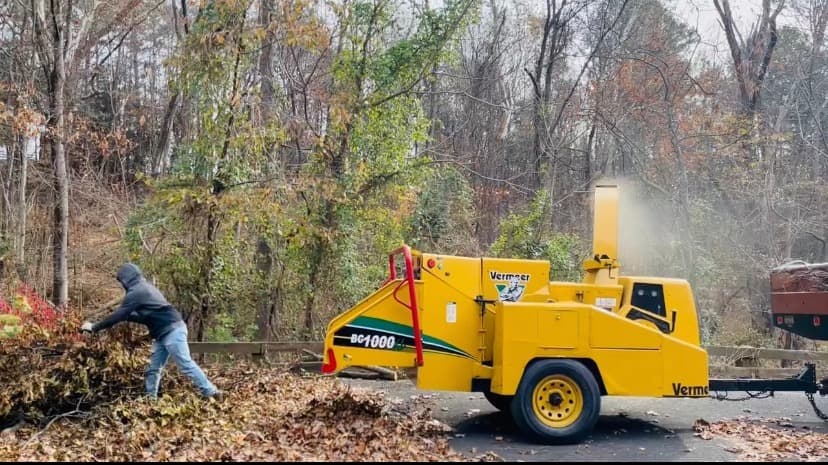 residential stump grinding