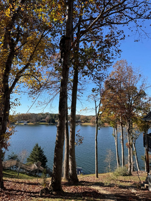 Residential tree care